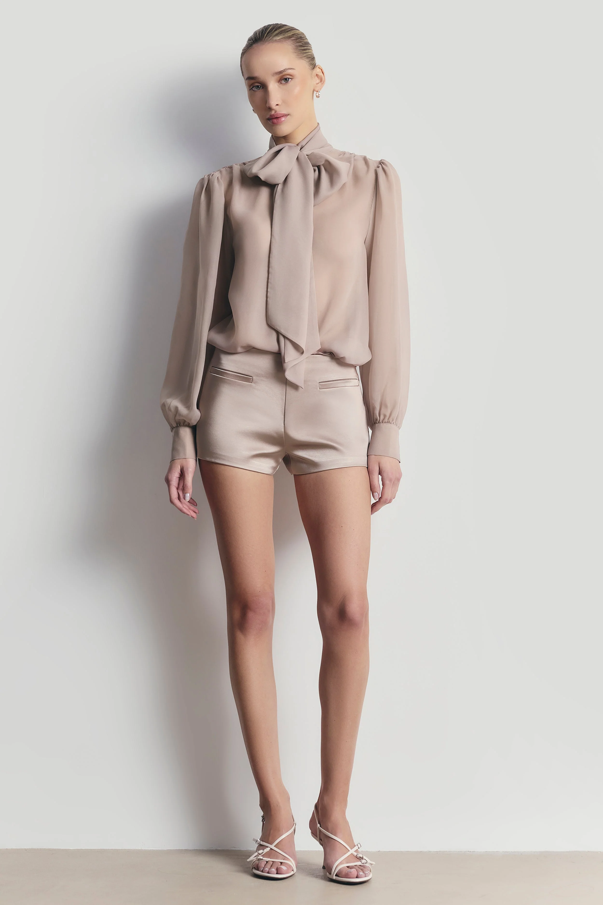 Sheer Chiffon Tie Neck Blouse - Mink - Image 2