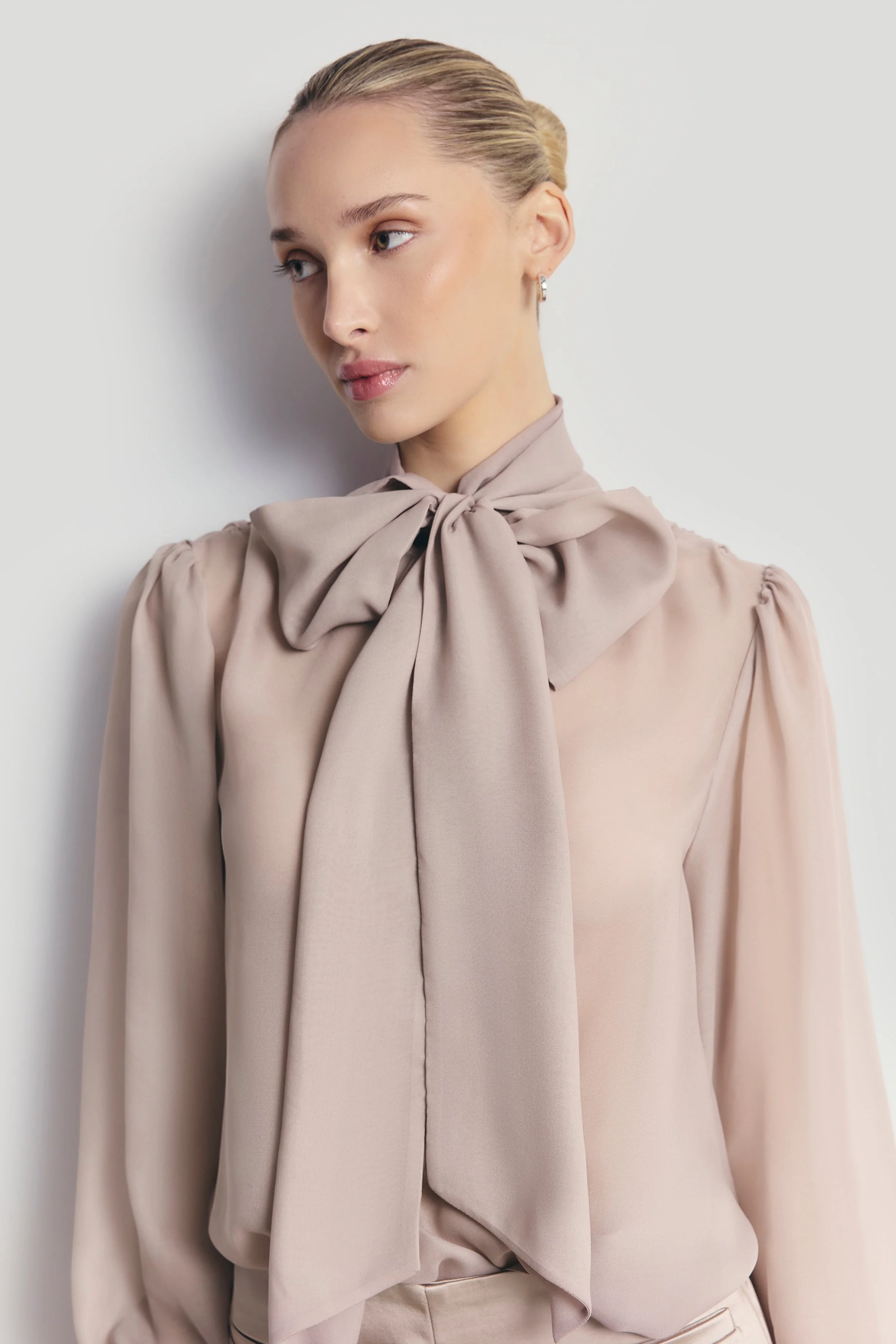 Sheer Chiffon Tie Neck Blouse - Mink - Image 5